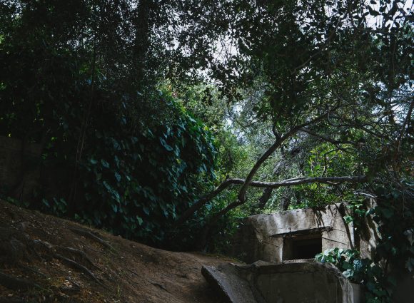 bunker caché dans les feuillages