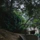 bunker caché dans les feuillages