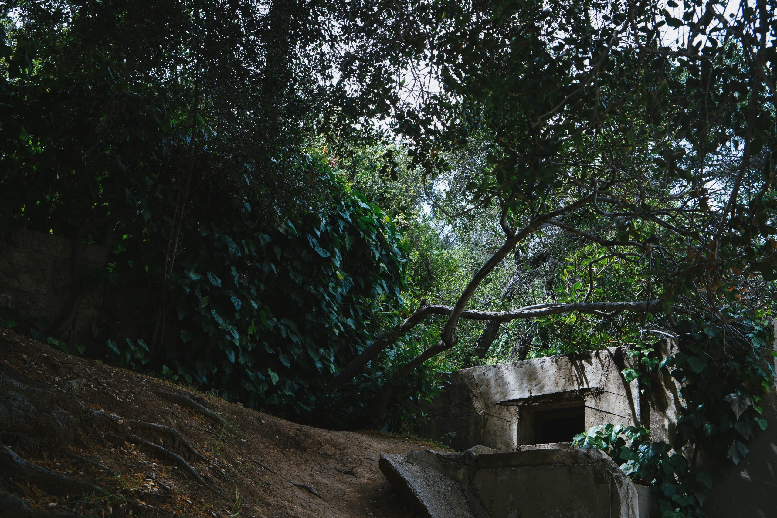 bunker caché dans les feuillages